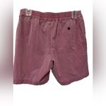 Marine layer  Purple Cotton Shorts Photo 1