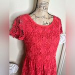 Romeo + Juliet Couture NTM: NWT Coral Crochet Short Sleeve Knee Dress Sz M Photo 5