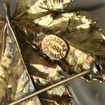 Vintage Leaf Brooch Gold Vermeil Coated Botanical Photo 5