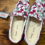 Toms  Christmas Dogs Slip On Shoes Size 6 Photo 3