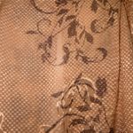 Anthropologie Meadow Rue Tan Blouse women's small regal going out sheer party Photo 1