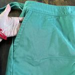 Vineyard Vines blue/green skort Photo 3