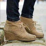 Toms  Cheetah Print Wedge Heel Bootie
Shoes(Size 8.5W) Photo 1