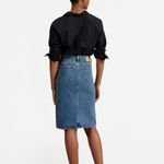 Everlane  The Denim Pencil Skirt Button Front Size 26 Photo 1