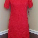 Donna Ricco NWT  Red Cutout Lace Short Sleeve Knee Length Modcloth Shift Dress 4 Photo 0