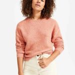 Everlane  Coral Pink Teddy Wool Blend Crewneck Sweater Size Large Photo 0