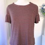 Woman’s Sz M Adorable Striped Knit Top W Cute Ruffle Short Sleeves Multi Size M Photo 1