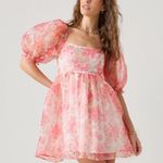 Francesca’s Claudia Floral Organza Babydoll Dress mini puff sleeve selkie pastel Red Size XS Photo 7