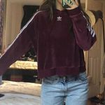 Adidas Velvet maroon crop  hoodie Photo 0
