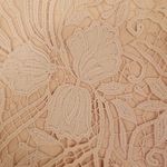 Reiss 💕💕 Mena One-Shoulder Crochet Lace Dress ~ Nude US 6 NWT Photo 8