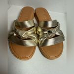 Italian Shoemakers  Metallic Slide Sandals size 6 Photo 3