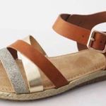 Bamboo Multi Color Strappy Metallic Brown Flat Buckle Sandals Photo 0