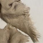 Saks 5th Avenue Saks Fifth Avenue Scarf Ultra Soft Beige Fringe Photo 9