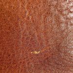 Lucky Brand The Point Genuine Leather Saddle Bag Photo 6