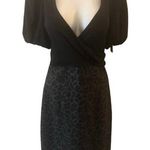 Rebecca Taylor Silk Wool Blend Puff Sleeve 12 Leopard Print Career RegencyCore Photo 0