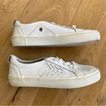 Cariuma Catiba Low Cut Sneakers in White Leather Size 7 Photo 1