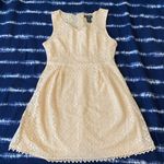 Miss Chievous  Cream/ Light Tan Lace Dress Photo 0