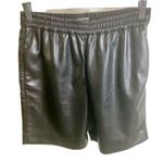 Babaton #122 ARITZIA  High Waist Leather Shorts Photo 1