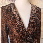J.Crew Brown Leopard Print Velvet Wrap Dress Photo 2