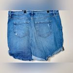 Lane Bryant EUC  Denim Shorts - 18 Photo 1