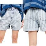 We The Free Free People x  Dogtown Cutoff striped denim shorts Photo 1