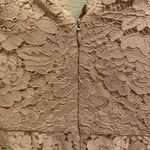 Vera Wang  Dusty Pink Double V-Neckline Lace Knee Length Dress Size 6 Photo 8