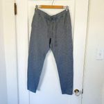 Aritzia TNA | Knit Waffle Drawstring Jogger Sweatpants in Grey size Large Photo 0
