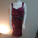 Le chateau NWT  Berry Dress with Black Flower Belt Photo 1