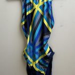 Speedo Blue Laser Stripe Recordbreaker Performance Swimsuit Scuba Size 12 Photo 0