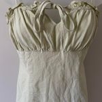 Lizard Thicket Dress Photo 2