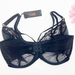 Scantilly By Curvy Kate Fascinate Plunge Bra Black Lace 38L Size undefined Photo 3