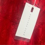 Endless Rose  Red Body Con Lace Dress, New with Tags, Size Large Photo 4
