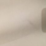 Boohoo DONATING SOON!  White Off Shoulder Blouse 6 Photo 2