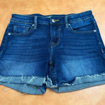 Vigoss  Dark Blue Marley Jean Shorts Photo 0