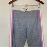 Splendid  Bayside Active Racer Stripe Jogger Small Photo 5