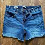 Vigoss  Marley Cutoff Jean Shorts Size 27 Photo 0