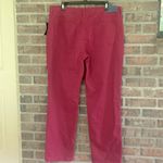 Bandolino NWT Wine colored jeans by  size 16 Photo 1