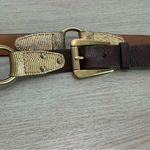 Michael Kors Brown And Gold Genuine Leather Embossed Crocodile Belt Size L Photo 8