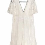 Eliza J NWT Fit & Flare Ivory White Lace Flutter Sleeve Short Dress Size 14 NEW Photo 4
