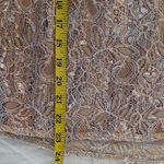 Q&A Elegant Lace Blouse Pearl/Tan Photo 13