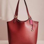 Coach Polished Pebble Leather Restored Day Tote in Brass/Brick Red, New +DustBag Photo 12