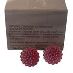 Vtg Avon Earrings Molded Plastic Cluster Summer Berries Redberry Stud Pierced Photo 6