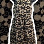 Urban Outfitters  Black Beige Floral Lace Knit Sleeveless Mini Dress Photo 1