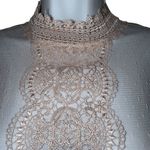 EXPRESS Exquisite Baby Pink Lace Trim Mesh Swiss Dot High Neck Top NWOT Size M Photo 3