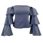 Susana Monaco Off The Shoulder Ruffle Sleeve Top New With Tags Photo 1