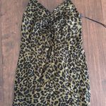 ZARA Cheetah Dress Photo 2