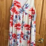 Lizard Thicket Floral Dress Photo 0