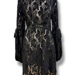 Free People Size L Black Floral Lace Illusion A-Line Dress Dark Fairy Coquette Photo 1