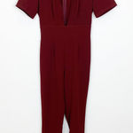Silence + Noise NWT UO Burgundy Plunge Neck Jumpsuit 4 Photo 0