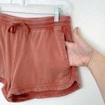 Aerie [] Burnt Orange Lived In Beach 100% Cotton Sweat Shorts Comfort Sz Large L Photo 4
